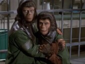 点击观看《人猿星球3 高清完整版》