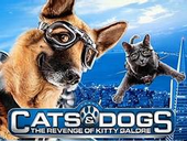点击观看《《猫狗大战1》高清完整版》